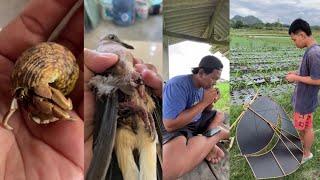 Kasih Makan Keong & Menemukan Burung Terluka Lanjut Main Layangan #mamayo