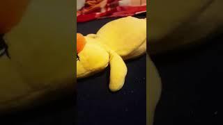 felix fox slap duck