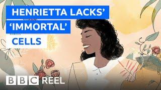 Henrietta Lacks: The 'immortal' cells that changed the world - BBC REEL