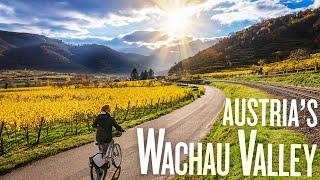 Biking through vineyards & scenic riverside towns | 4K Trip Review