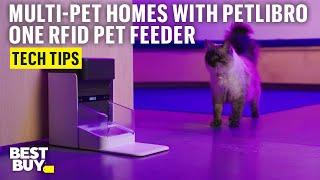 Using the PETLIBRO One RFID Pet Feeder in Multi-Pet Homes – Tech Tips from Best Buy