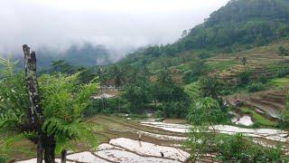 ASLI BIKIN BETAH ‼️ PETUALANGAN ALAM DESAKU TERBARU KE KAMPUNG CANTIK || PEDESAAN JAWA BARAT