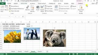 How to Resize All Selected Pictures to Fit Cells in Excel
