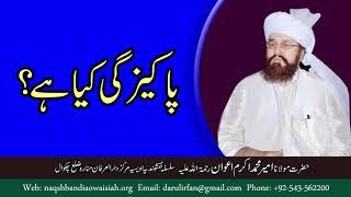 Pakeezgi kia hai | Hazrat Ameer Muhammad Akram Awan | Silsila Naqshbandia Owaisiah