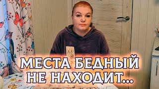 МЕСТА БЕДНЫЙ НЕ НАХОДИТ! ЧТО С НИМ ПРОИСХОДИТ?