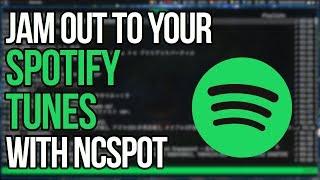 Ditch The Official Spotify Client And Switch To Ncspot