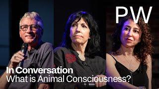 What is Animal Consciousness?