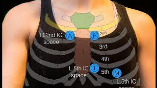 Sternal angle