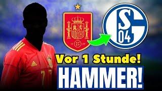 MEIN GOTT! SPANIEN-NATIONALSPIELER KOMMT ZU SCHALKE 04 – ALLE WICHTIGEN INFOS! S04 NACHRICHTEN HEUTE