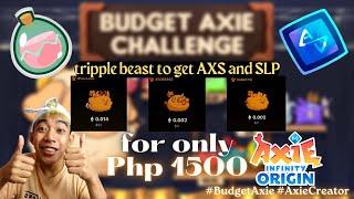 Budget Axies Ranking up to get slp | Axie Origins | #BudgetAxie #axiecreator