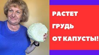 Растет ли ГРУДЬ ОТ КАПУСТЫ ?