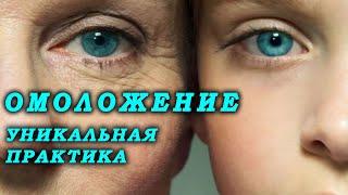 УНИКАЛЬНАЯ ПРАКТИКА ОМОЛОЖЕНИЯ / ОМОЛОЖЕНИЕ ОРГАНИЗМА