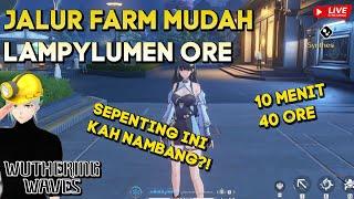 JALUR FARMING LAMPYLUMEN 10 MENIT 40 ORE RUTE MUDAH WUTHERING WAVES