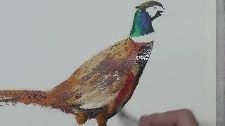 Painting animals in Watercolours