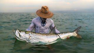 Florida's INCREDIBLE Bait Migration - The Mullet Run {Catch Clean Cook Snook}