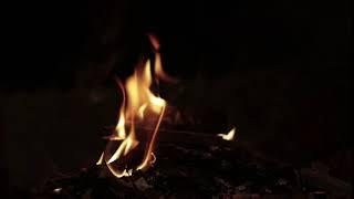 Burning Woods Effects | Fire Flames | Free stock videos | Alaine Stocks