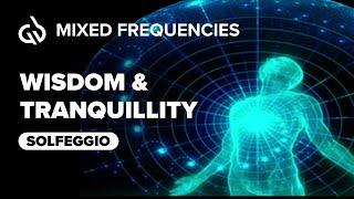 Empower Yourself with Wisdom & Tranquillity  All 9 Solfeggio Frequencies  Theta Binaural Beats