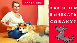 Шок! Как и чем вычесать собаку? Столько шерсти за 5 минут! Фурминатор Furminator