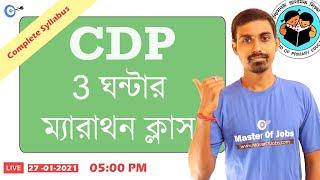CDP | Marathon Class For Primary TET 2021 | All in One Class (Complete Syllabus)