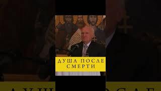 О ДУШЕ ПОСЛЕ СМЕРТИ #православие #осипов #смерть #душа