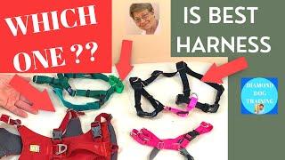 No Pull Harness Review - Which is the Best Harness For Your Dog