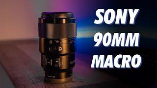 MY Favorite Lens! - Sony 90mm Macro