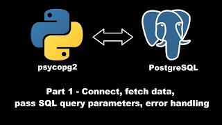 psycopg2 python Connect, fetch data, pass SQL query parameters, error handling