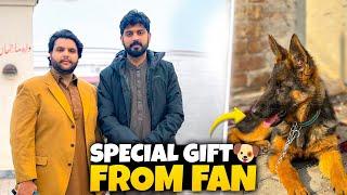 New dog Special gift by Fan  | Bilal marth