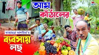 আম কাঁঠালের ব্যবসায় লছ । তারছেরা ভাদাইমা । Am Kathaler Bebshai Loch । Bangla Koutuk 2024