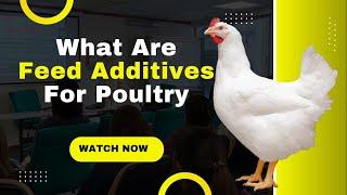 Feed Additive in Poultry | Feed Additives in Animal Nutrition | Feed Formulation For Poultry