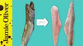 How To Fillet Fish | 1 Minute Tips | Bart’s Fish Tales