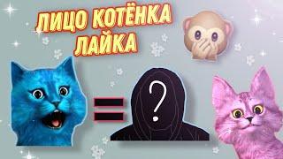 НАСТОЯЩЕЕ ЛИЦО КОТЁНКА ЛАЙКА