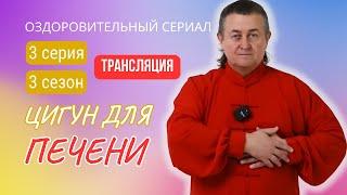  ЦИГУН ДЛЯ ПЕЧЕНИ И ЖЕЛЧНОГО ПУЗЫРЯ | 3 серия. 3 сезон. Оздоровительный сериал Виктора Стерликова