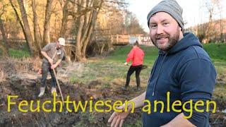 Wir wühlen im Matsch! - Tümpel und Feuchtwiesen für Amphibien | mit Martin Maschka