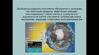 М.Я. Федоренко Роль антиоксидантов в нашей жизни.