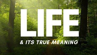 Life and its true meaning | #nature #words #quran #risalenow