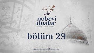 Nebevi Dualar - 29