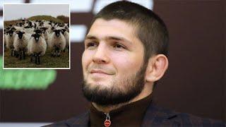 Khabib Nurmagomedov : «Πήρα πρόβατα και φάρμα, δεν επιστρέφω στο UFC!» | ufight.gr