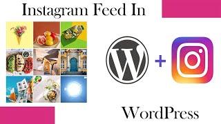 How to Add Instagram Feed on Your WordPress Website | Social Media Feed Free WordPress Plugin