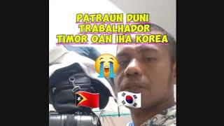 Patraun duni Timor oan Servisu iha korea