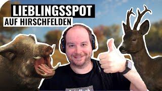 Mein Lieblingsspot auf Hirschfelden! Überall Tiere! || theHunter Call of the Wild