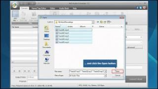 How to convert MP3 to WMA using AVS Audio Converter?