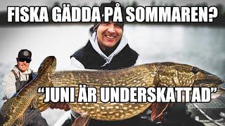 Fiska GÄDDA på SOMMAREN - David Lundqvist och Mikko Seppänen tipsar!