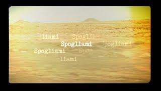 Baustelle – Spogliami (Official Lyric Video)