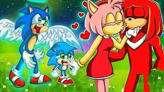 Knuckle Vs Sonic in Love - No Amy, Please Come Back Family!!