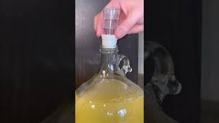 TRADITIONAL MEAD START TO FINISH