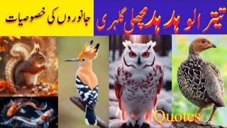 General Characteristics of Animals | Chapter Diversity Among Animal | Kingdom Animalia | Zee Voice