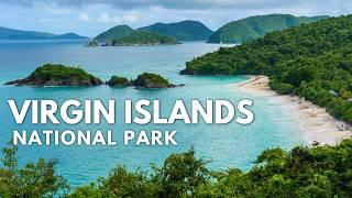 Virgin Islands National Park Ultimate Guide: Beaches, Ruins & Hidden Gems