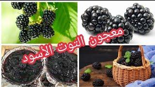 مربى التوت الأسود البري طريقة سهلة سريعة وبسيطة مع كيفية تخزينه بنة ومذاق لا يقاوم يستحق التجربة