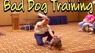 Bad Dog Training Advice Borderline Abuse